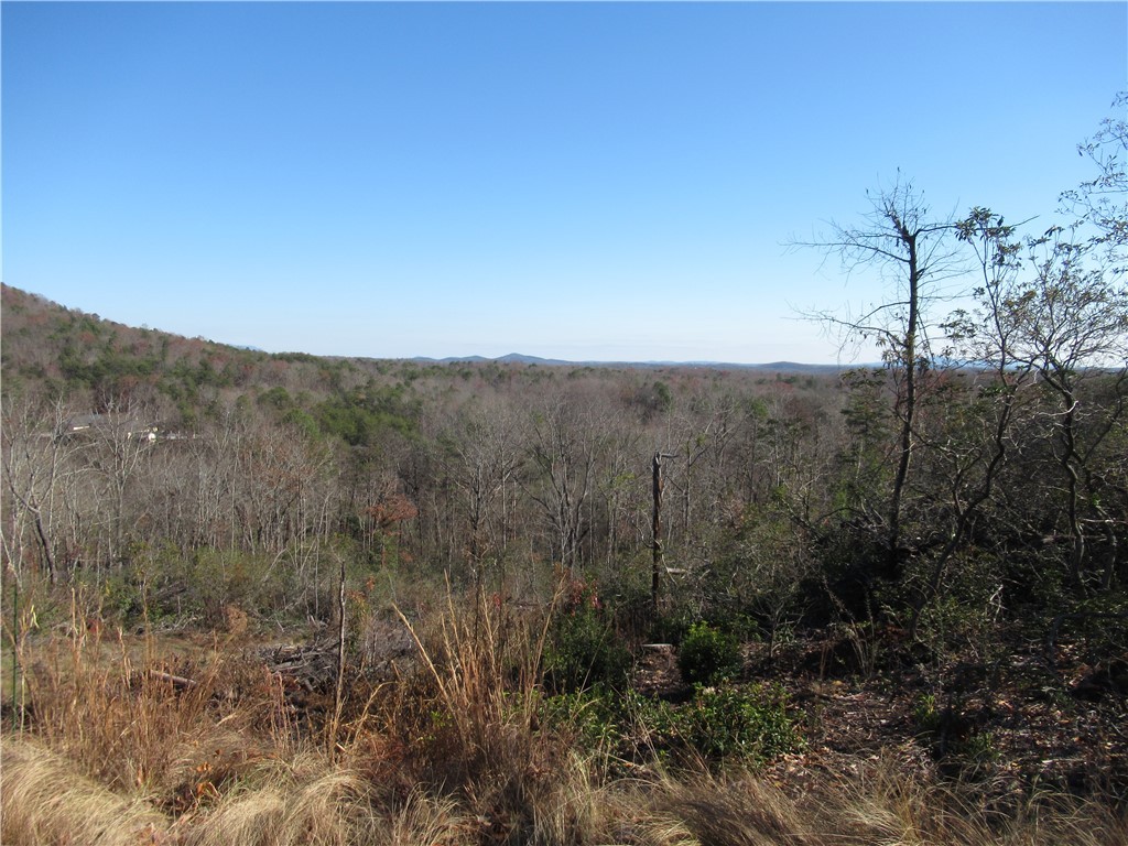 34-35 36 Curts Way Cleveland, SC 29635 - Photo 12 of 33