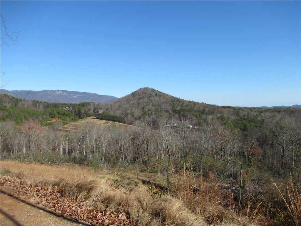 34-35 36 Curts Way Cleveland, SC 29635 - Photo 13 of 33