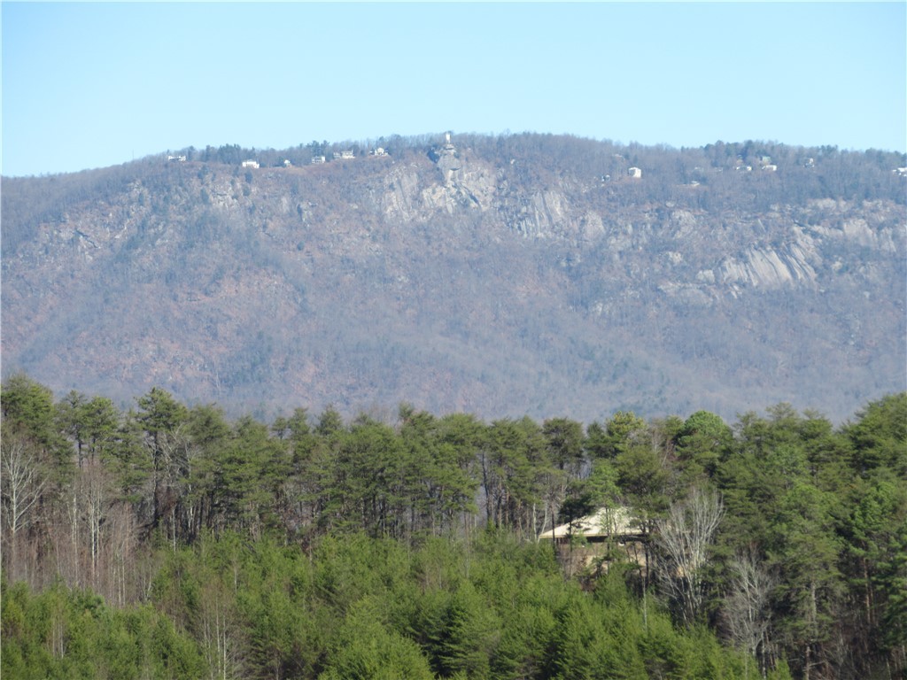 34-35 36 Curts Way Cleveland, SC 29635 - Photo 14 of 33