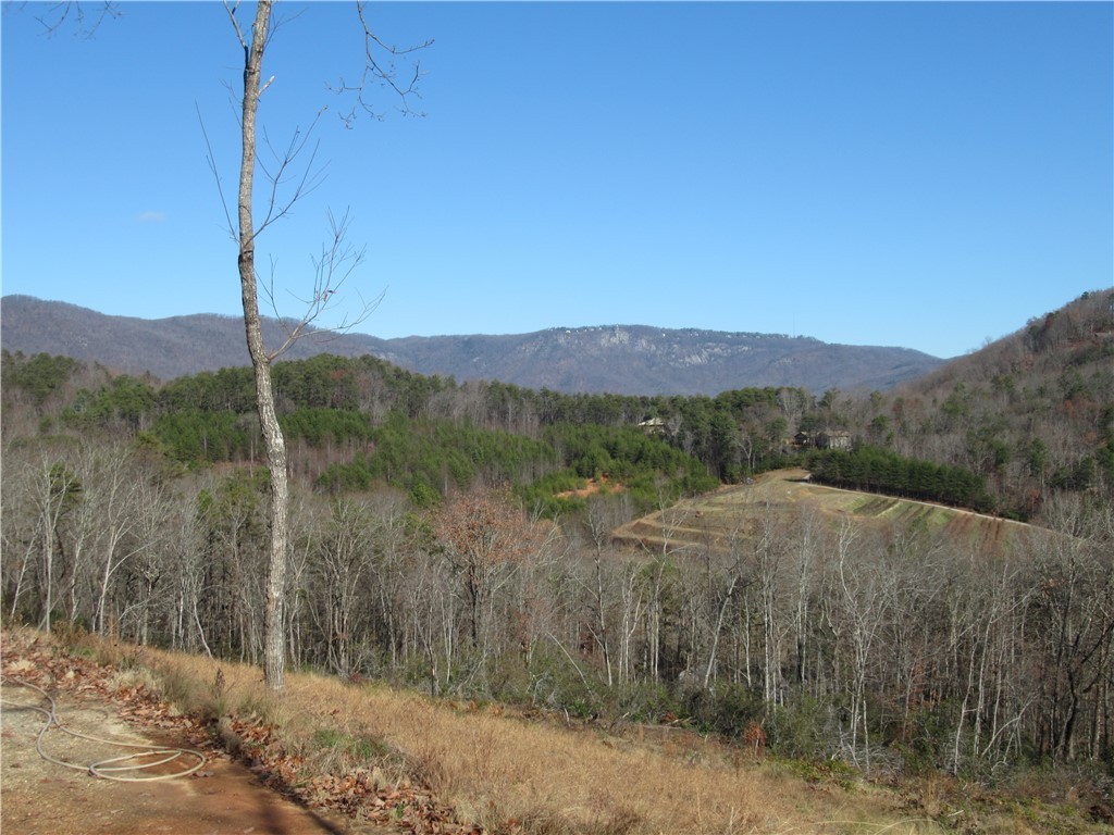 34-35 36 Curts Way Cleveland, SC 29635 - Photo 15 of 33