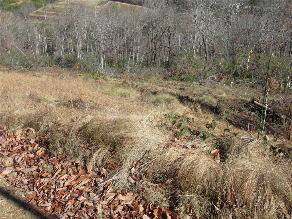 34-35 36 Curts Way Cleveland, SC 29635 - Photo 17 of 33