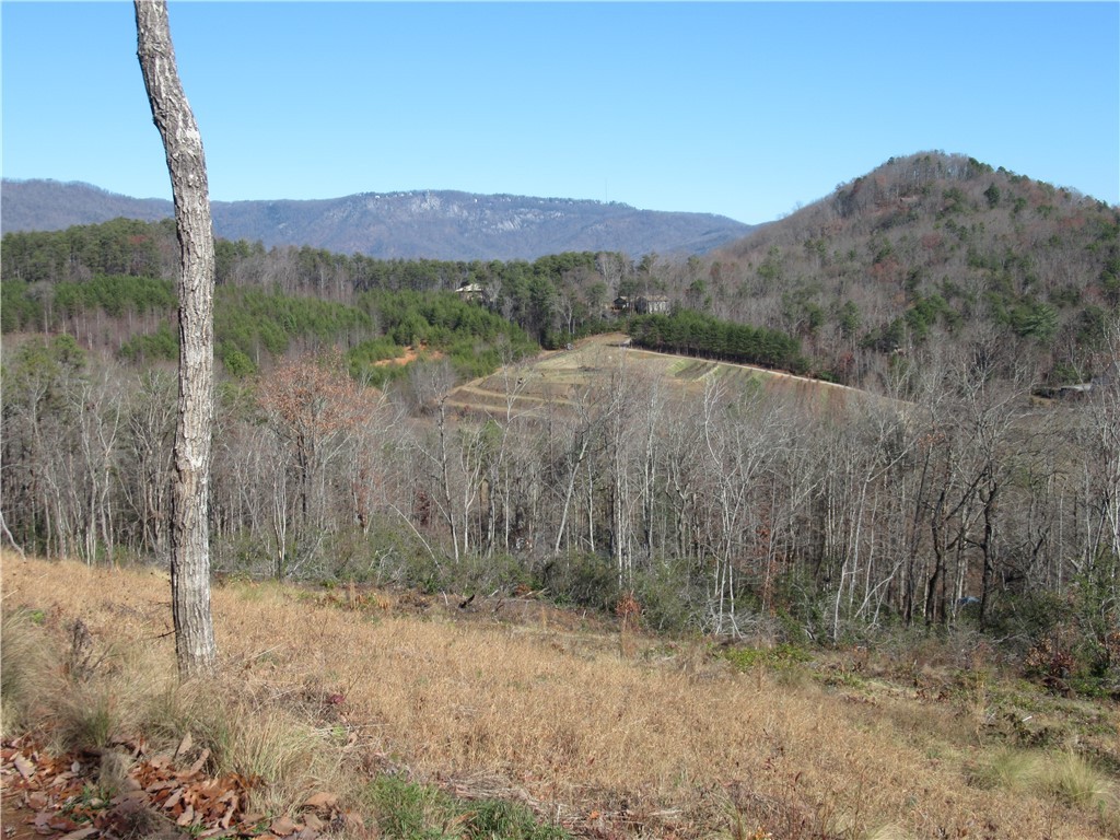 34-35 36 Curts Way Cleveland, SC 29635 - Photo 18 of 33