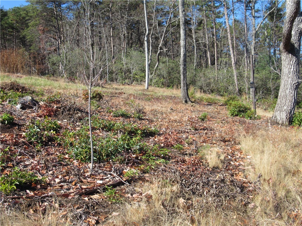 34-35 36 Curts Way Cleveland, SC 29635 - Photo 19 of 33