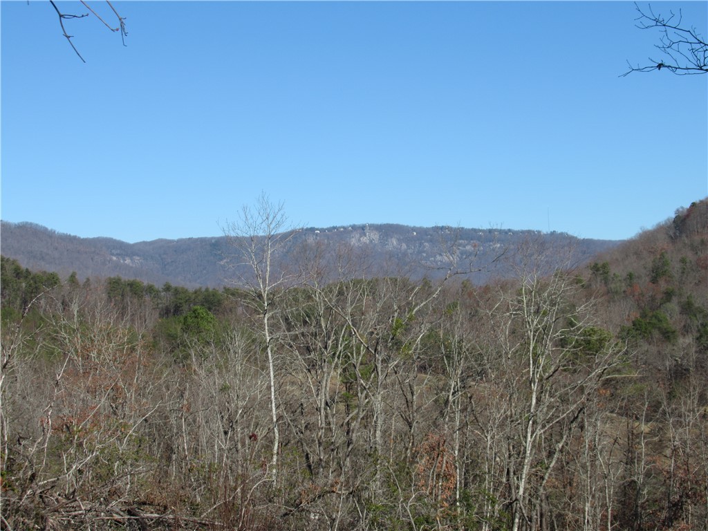 34-35 36 Curts Way Cleveland, SC 29635 - Photo 2 of 33