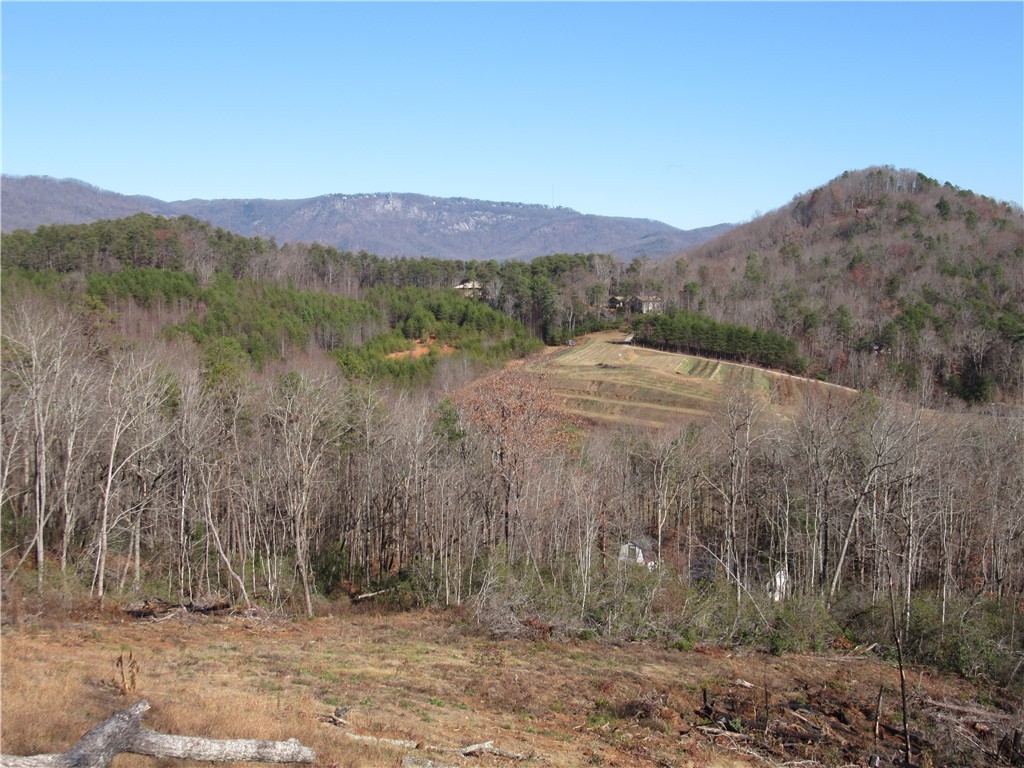 34-35 36 Curts Way Cleveland, SC 29635 - Photo 21 of 33