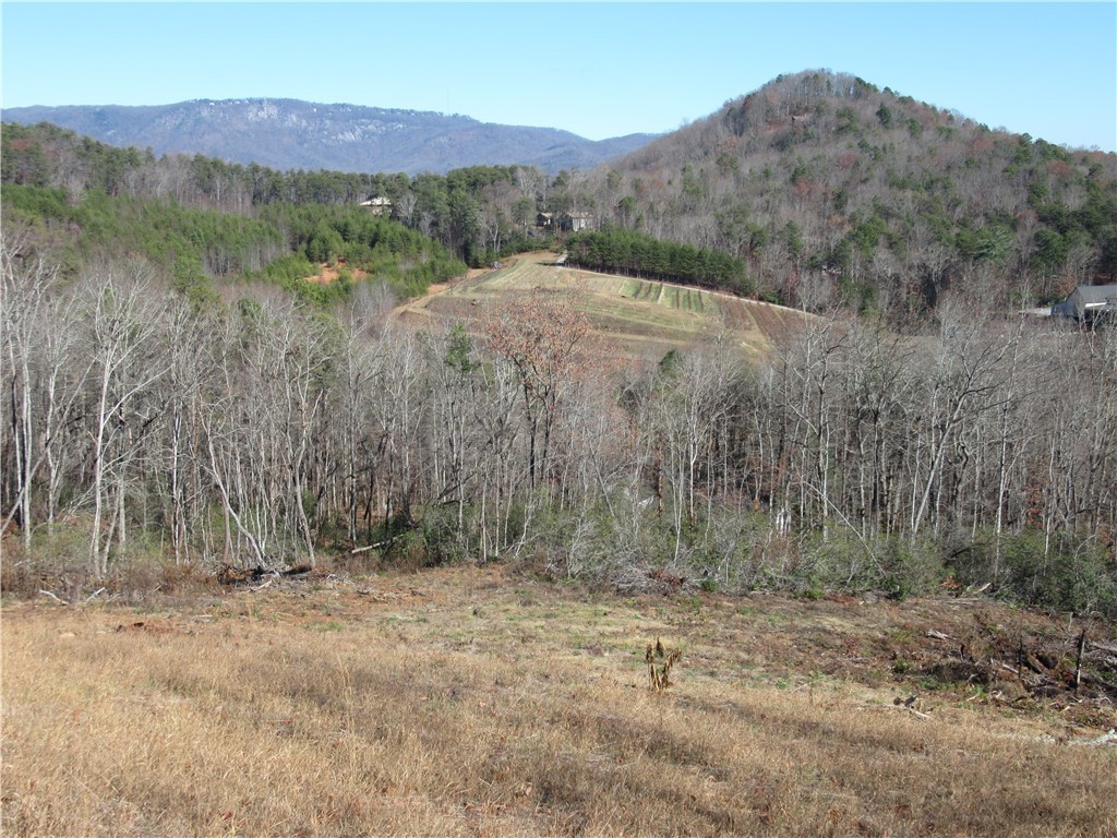 34-35 36 Curts Way Cleveland, SC 29635 - Photo 22 of 33