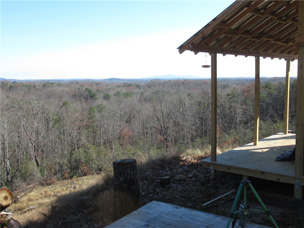 34-35 36 Curts Way Cleveland, SC 29635 - Photo 23 of 33