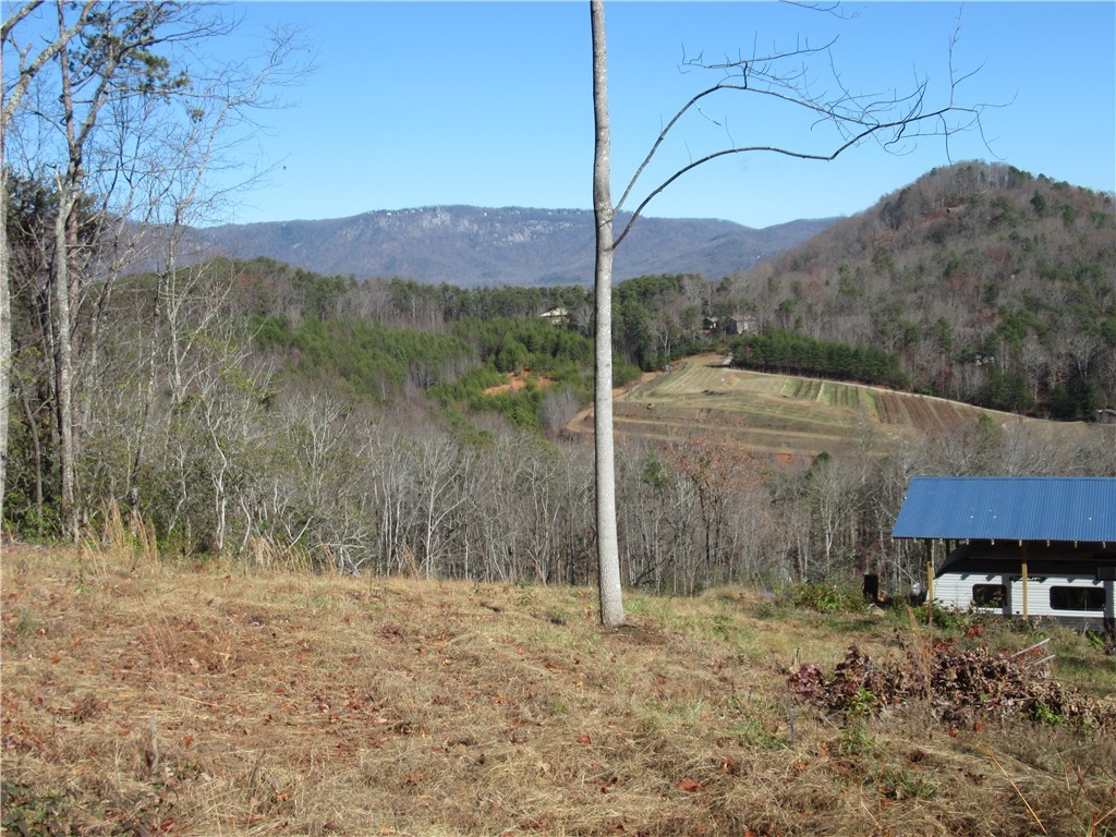 34-35 36 Curts Way Cleveland, SC 29635 - Photo 26 of 33