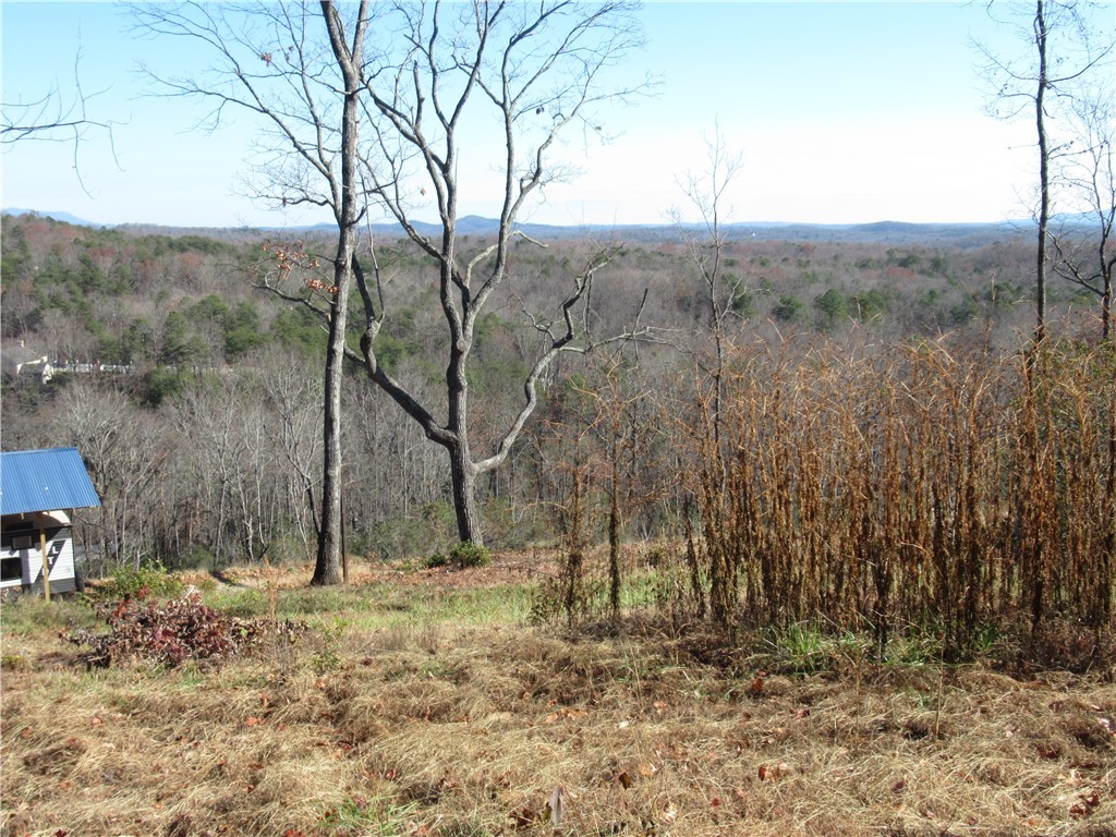 34-35 36 Curts Way Cleveland, SC 29635 - Photo 27 of 33