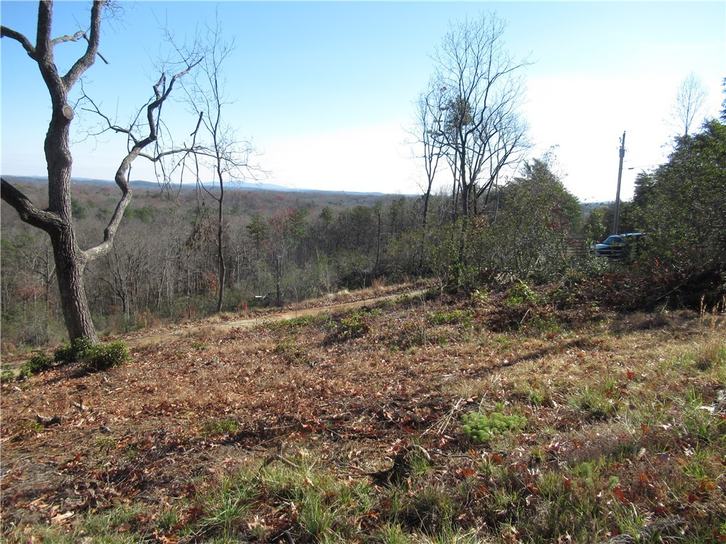 34-35 36 Curts Way Cleveland, SC 29635 - Photo 31 of 33