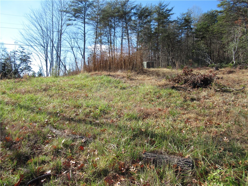 34-35 36 Curts Way Cleveland, SC 29635 - Photo 32 of 33