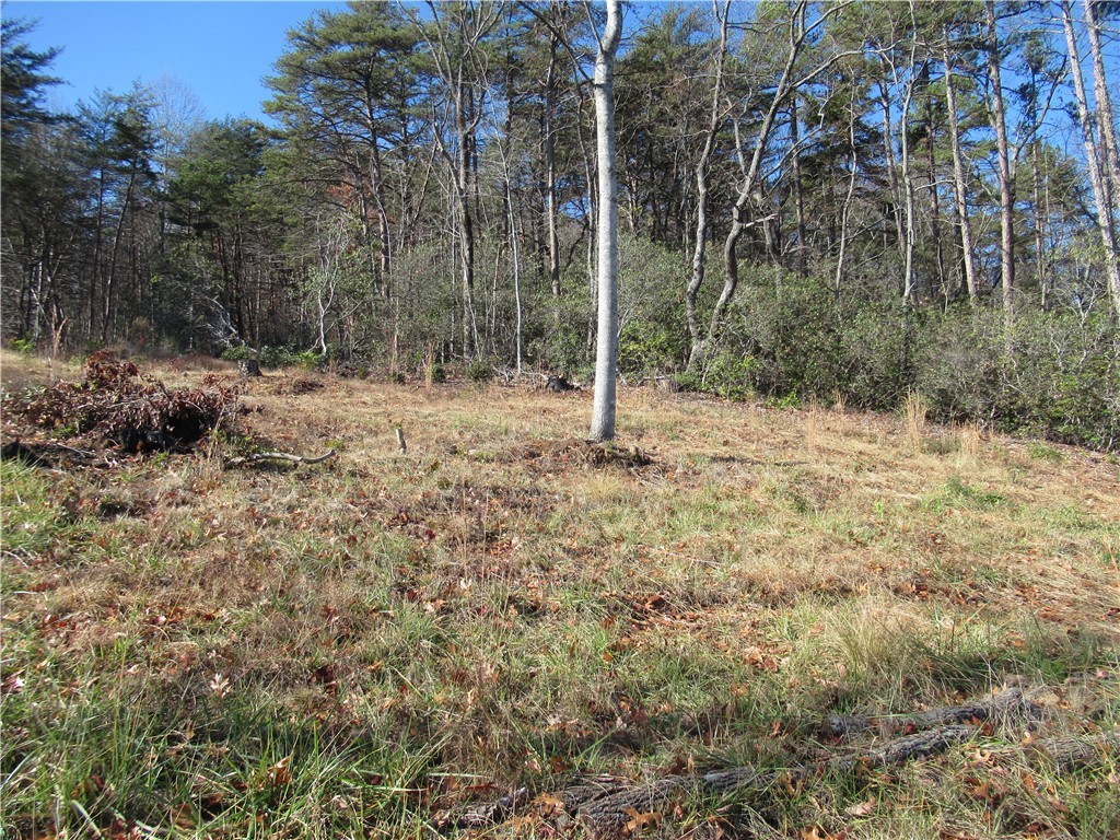 34-35 36 Curts Way Cleveland, SC 29635 - Photo 33 of 33