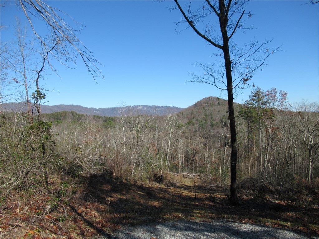 34-35 36 Curts Way Cleveland, SC 29635 - Photo 4 of 33