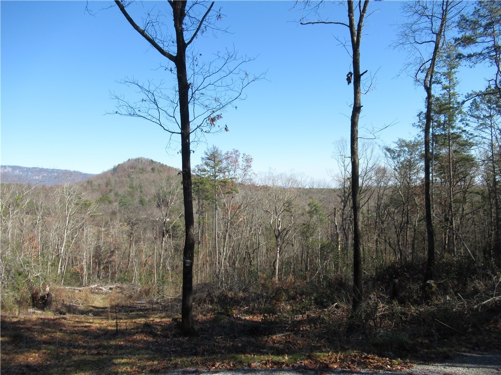 34-35 36 Curts Way Cleveland, SC 29635 - Photo 5 of 33