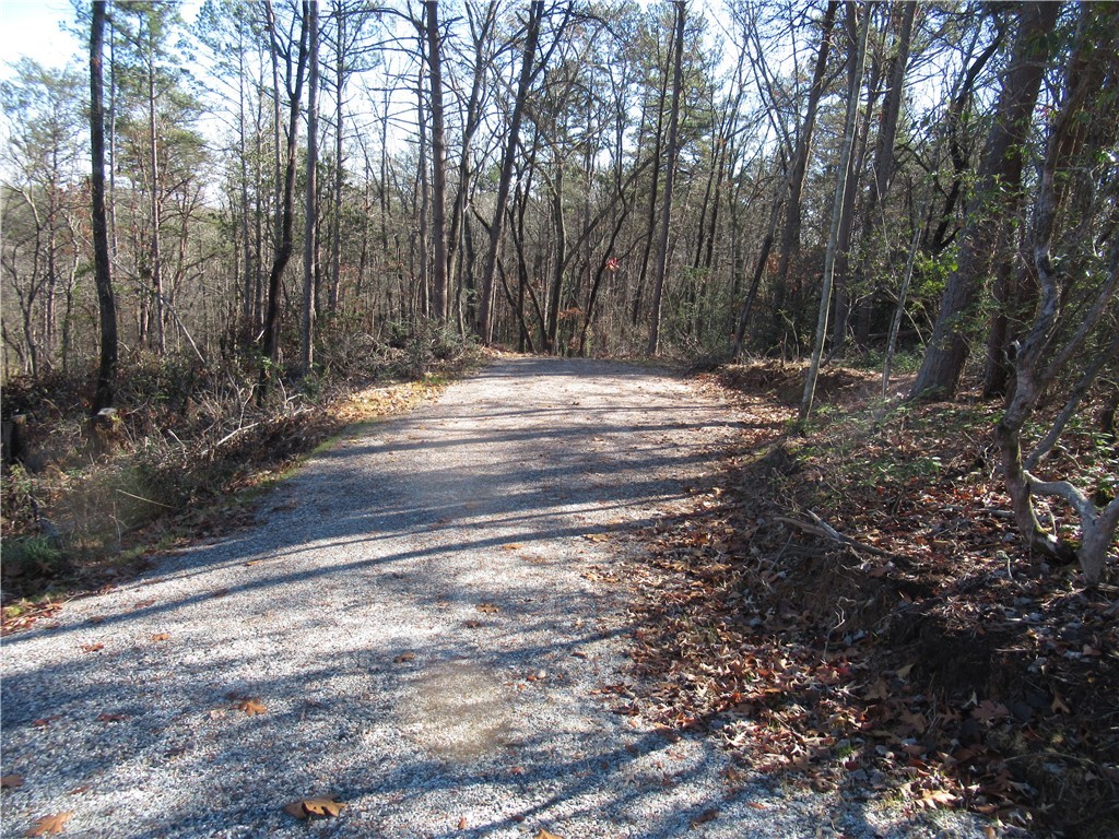 34-35 36 Curts Way Cleveland, SC 29635 - Photo 6 of 33