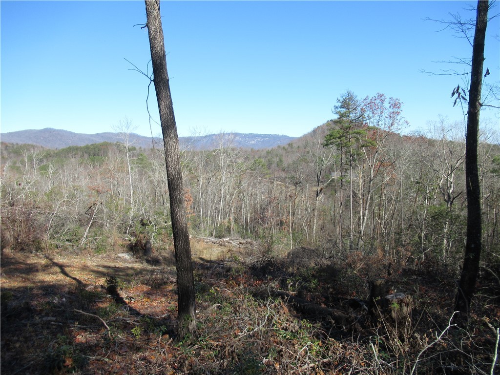 34-35 36 Curts Way Cleveland, SC 29635 - Photo 7 of 33