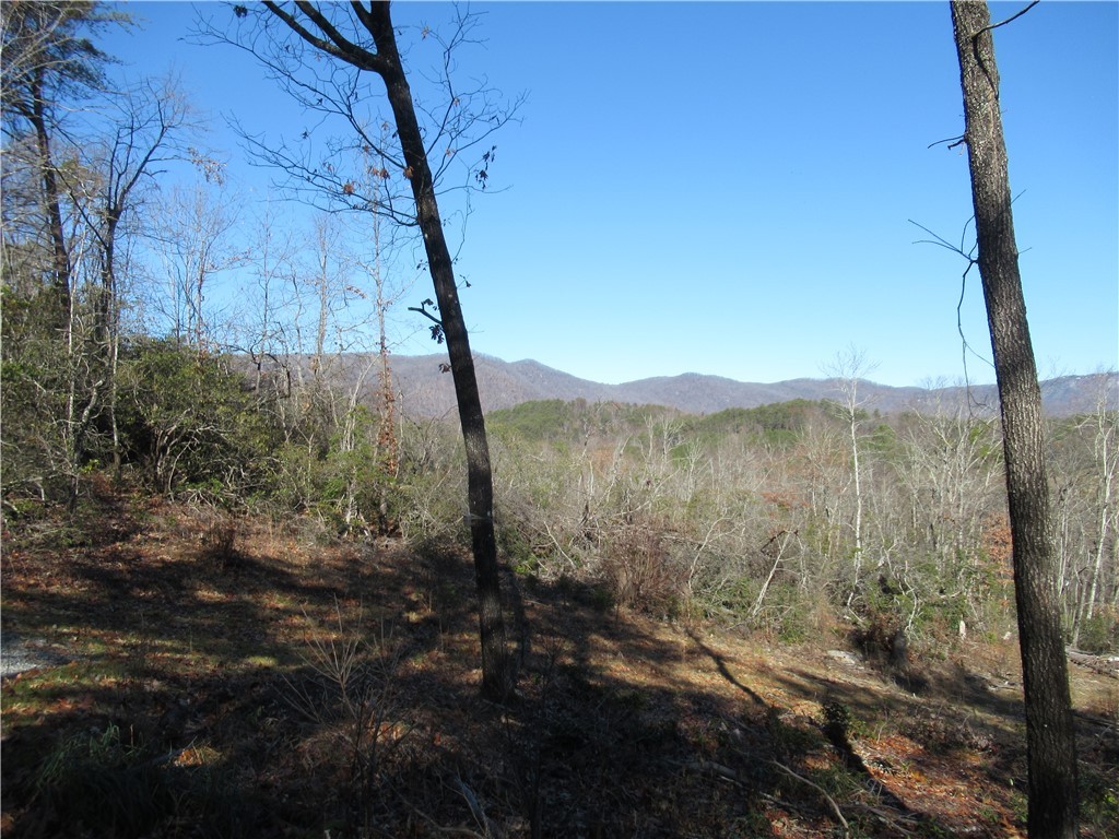 34-35 36 Curts Way Cleveland, SC 29635 - Photo 8 of 33