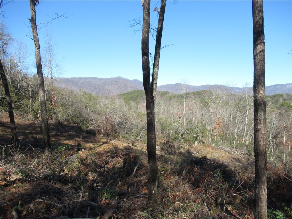 34-35 36 Curts Way Cleveland, SC 29635 - Photo 9 of 33