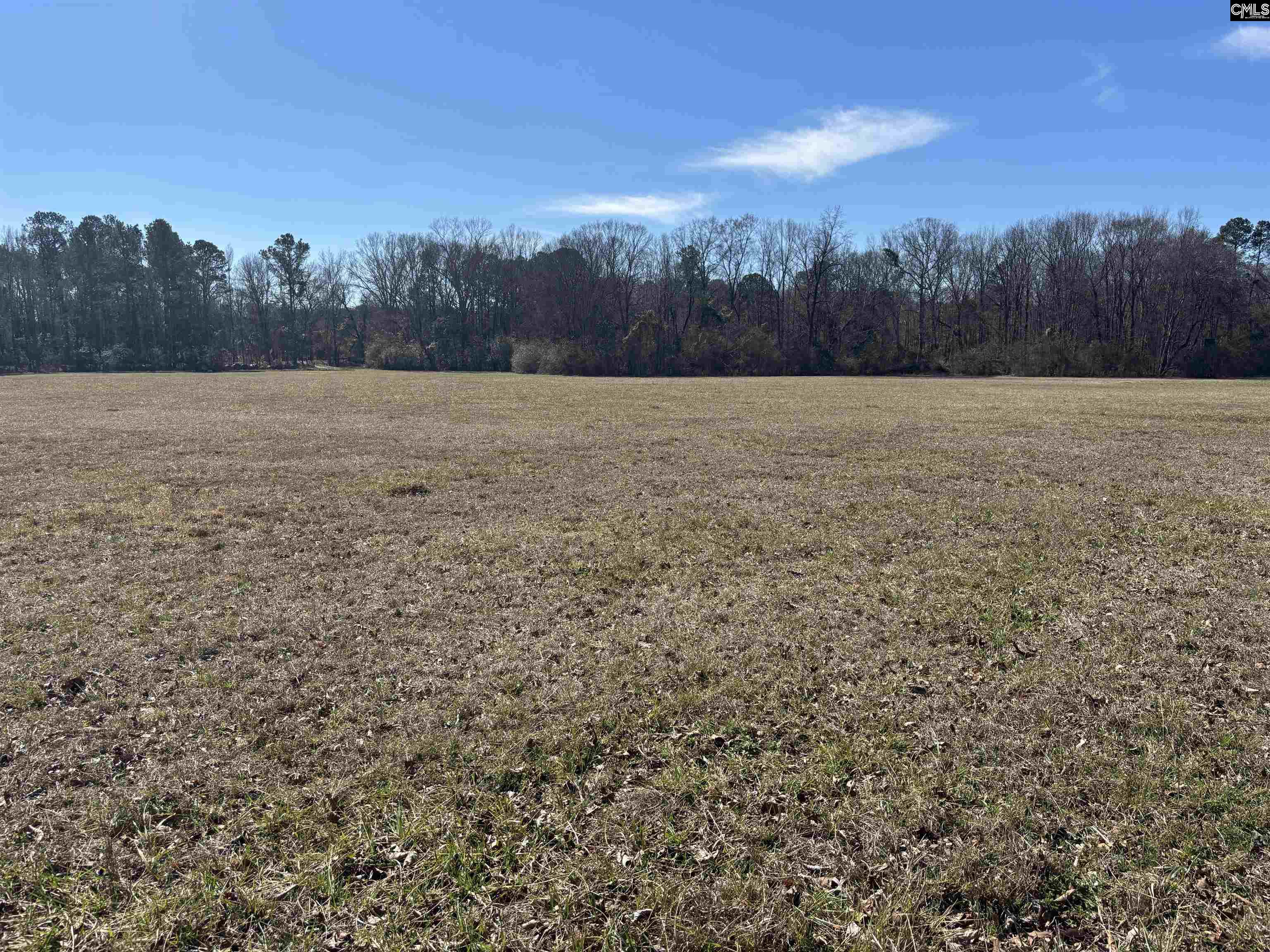 0 Bethany Road Saluda, SC 29138 - Photo 11 of 24