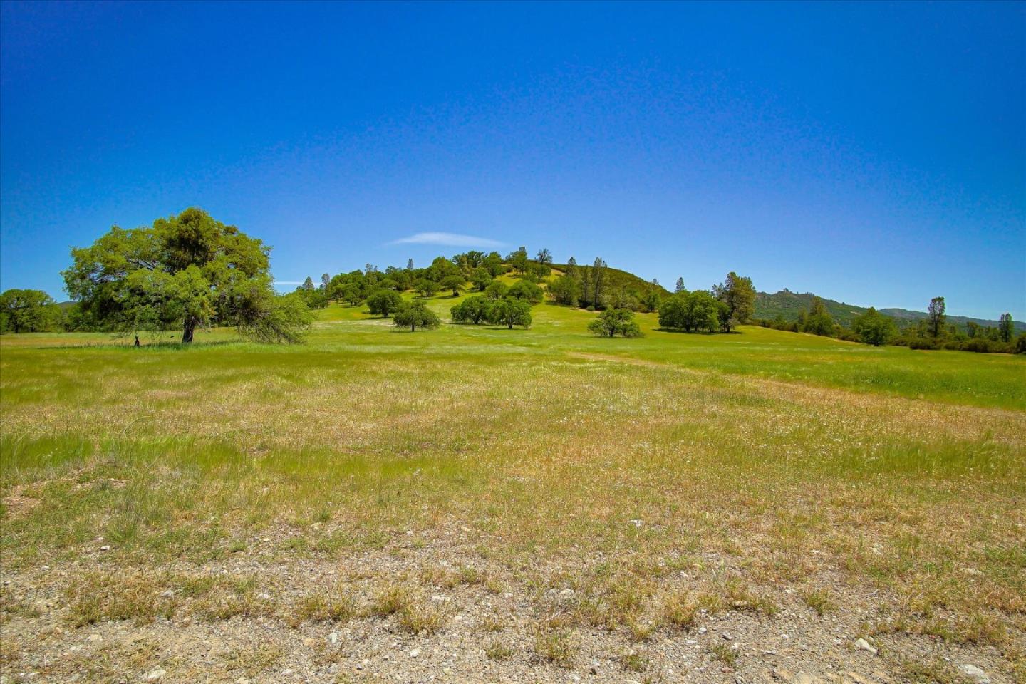 0 Old Hernandez Road Paicines, CA 95043 - Photo 44 of 50 Gallery Image 44