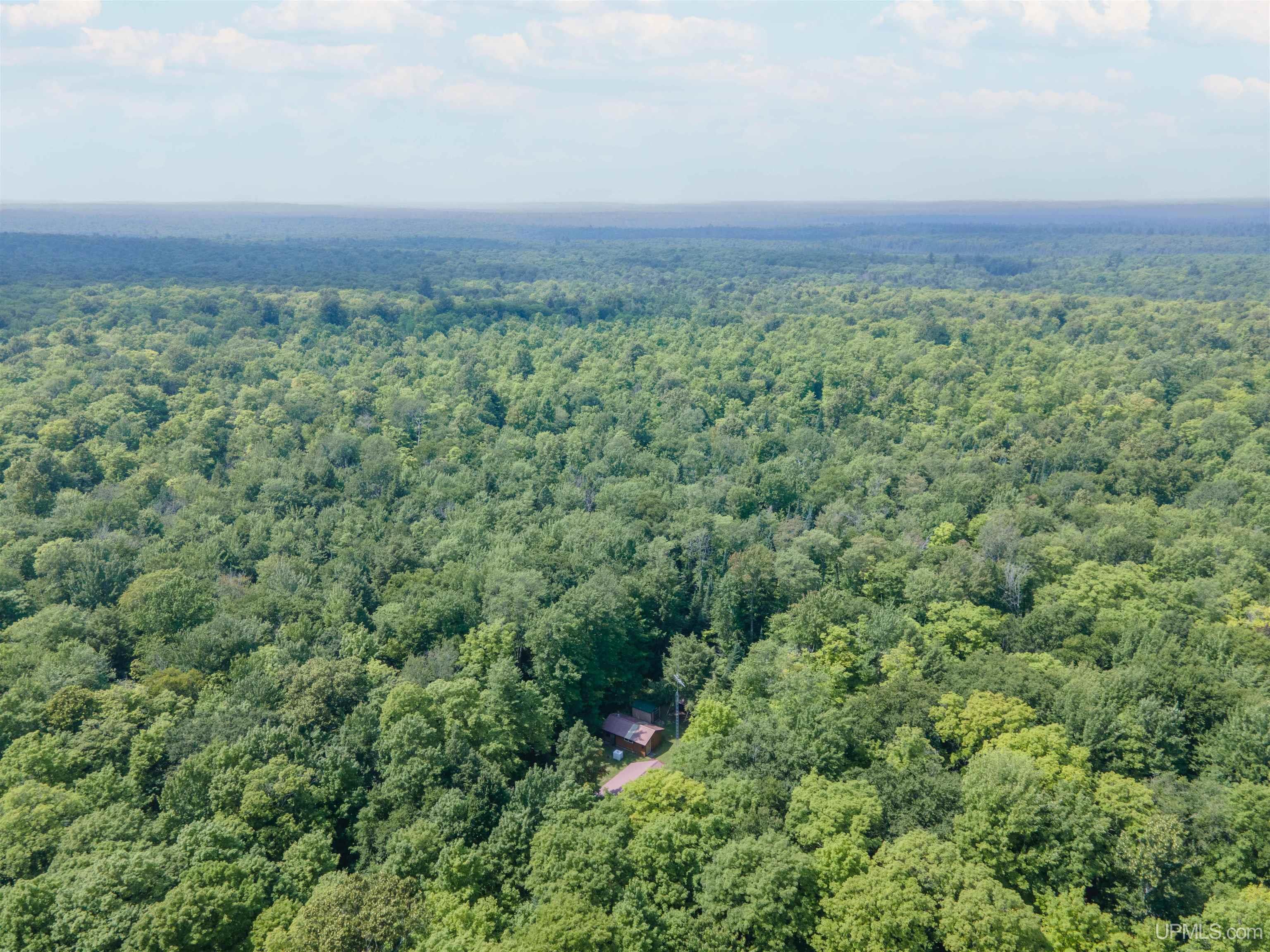 436 Federal Forest 3920 Road Iron River, MI 49935 - Photo 20 of 20