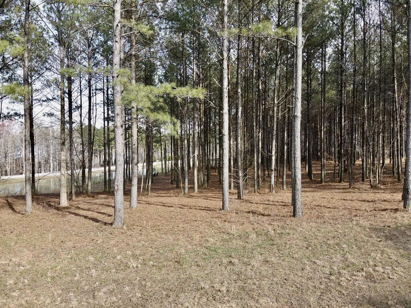 179 High Point Lane Jasper, TN 37347 - Photo 20 of 91 2024-03-21-16-13-00-513