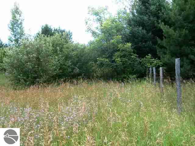 1781 Tyler Road Southeast Kalkaska, MI 49646 - Photo 3 of 25 1729140-2.JPG