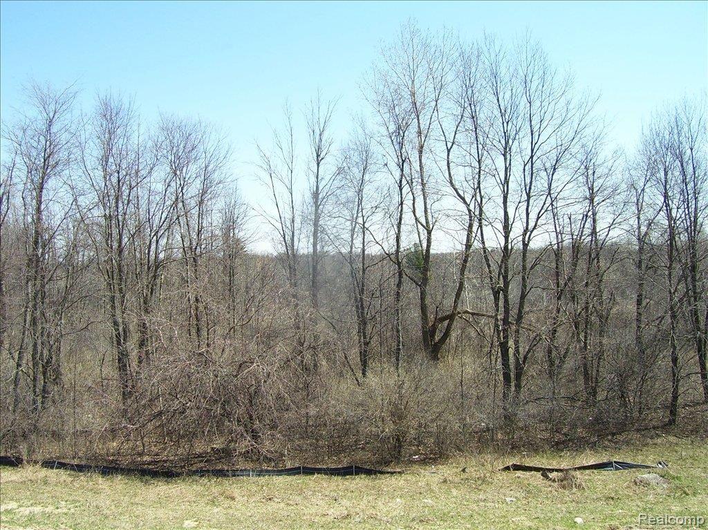 7014 Oakhurst Ridge Road Clarkston, MI 48348 - Photo 8 of 8 Sommerville 428# (11)View