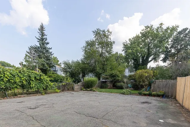 a view of a yard with plants and trees