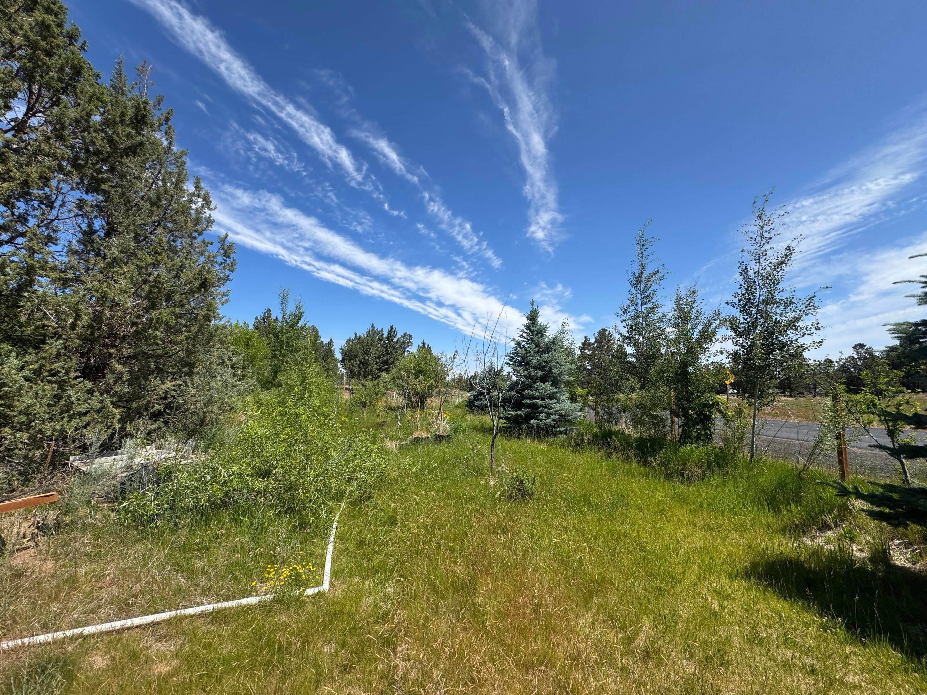 22820 Bear Creek Road Bend, OR 97701 - Photo 70 of 83 IMG_5264