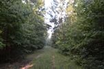 8100 Cross Anchor Road Enoree, SC 29335 - Photo 10 of 11 Gallery Image 10