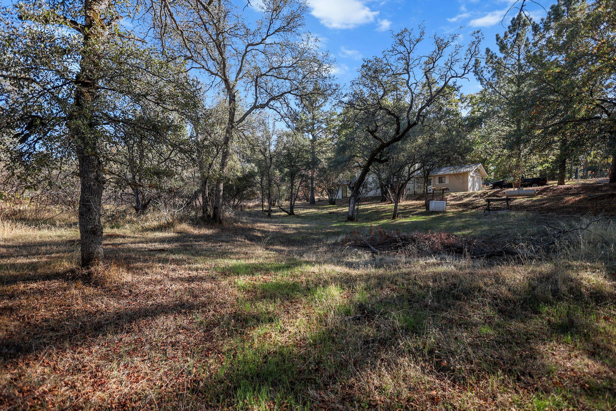 28424 Alpine Way Shingletown, CA 96088 - Photo 31 of 42 a view of outdoor space with trees all around