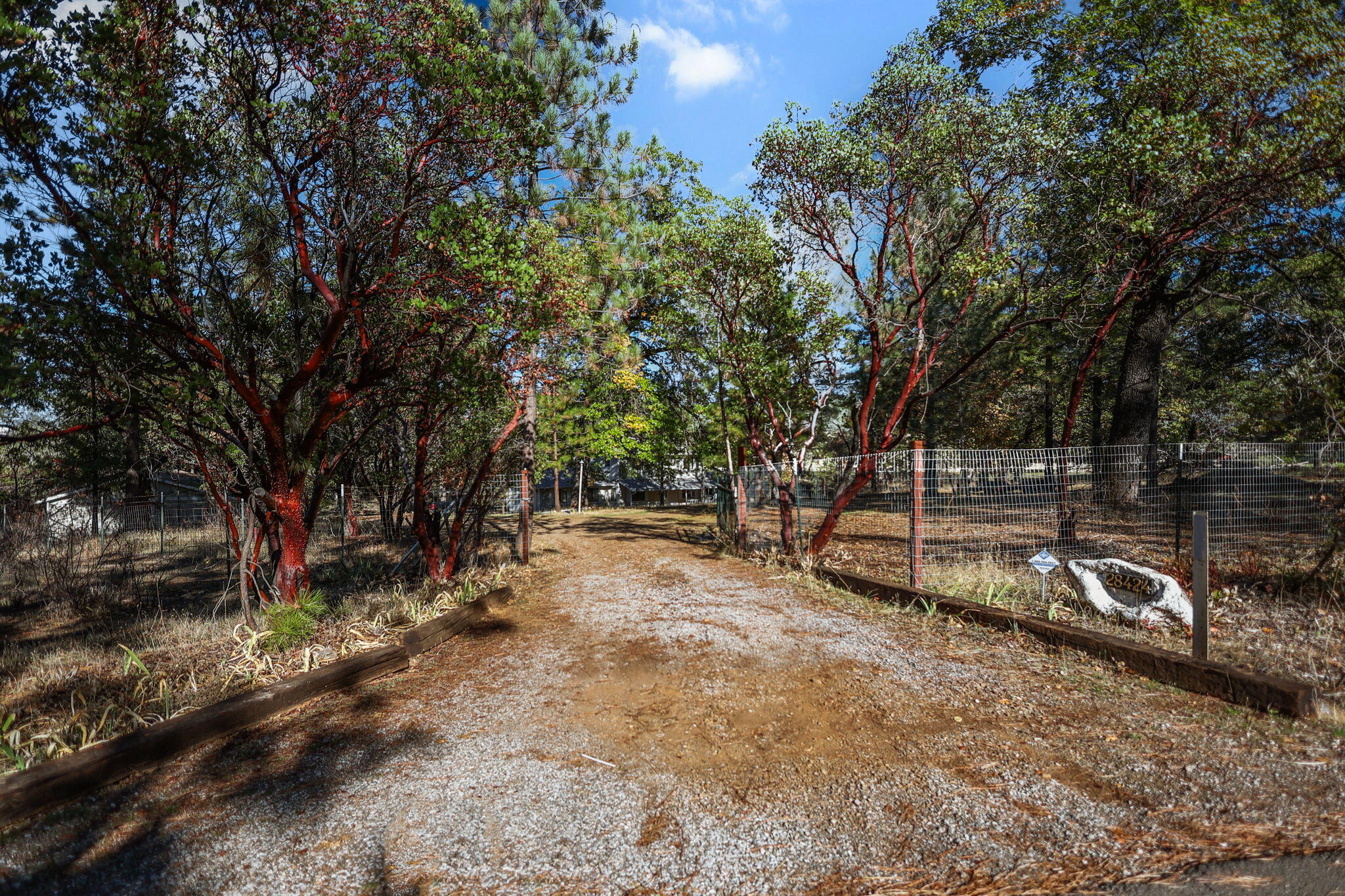 28424 Alpine Way Shingletown, CA 96088 - Photo 41 of 42 a view of backyard with green space