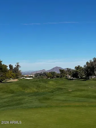 a view of a grassy field with an trees