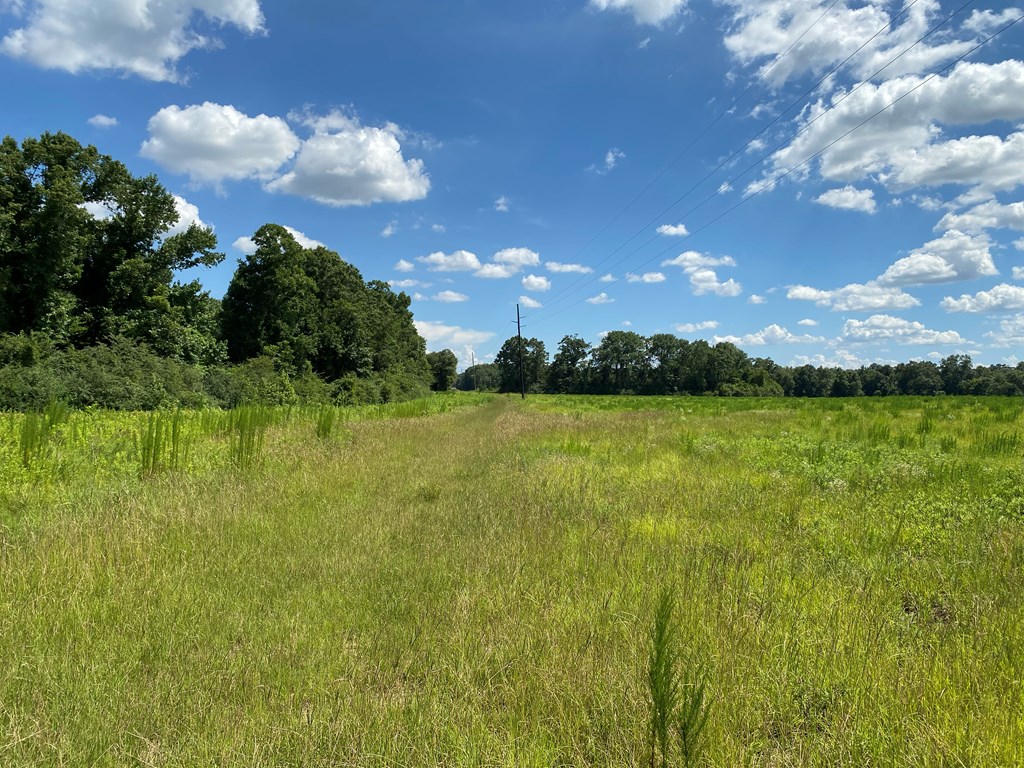 16-ac 16-ac National Road Dothan, AL 36301 - Photo 11 of 45