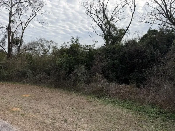 $30,000 | 4.31-ac Langston Street, New Brockton, AL 36351