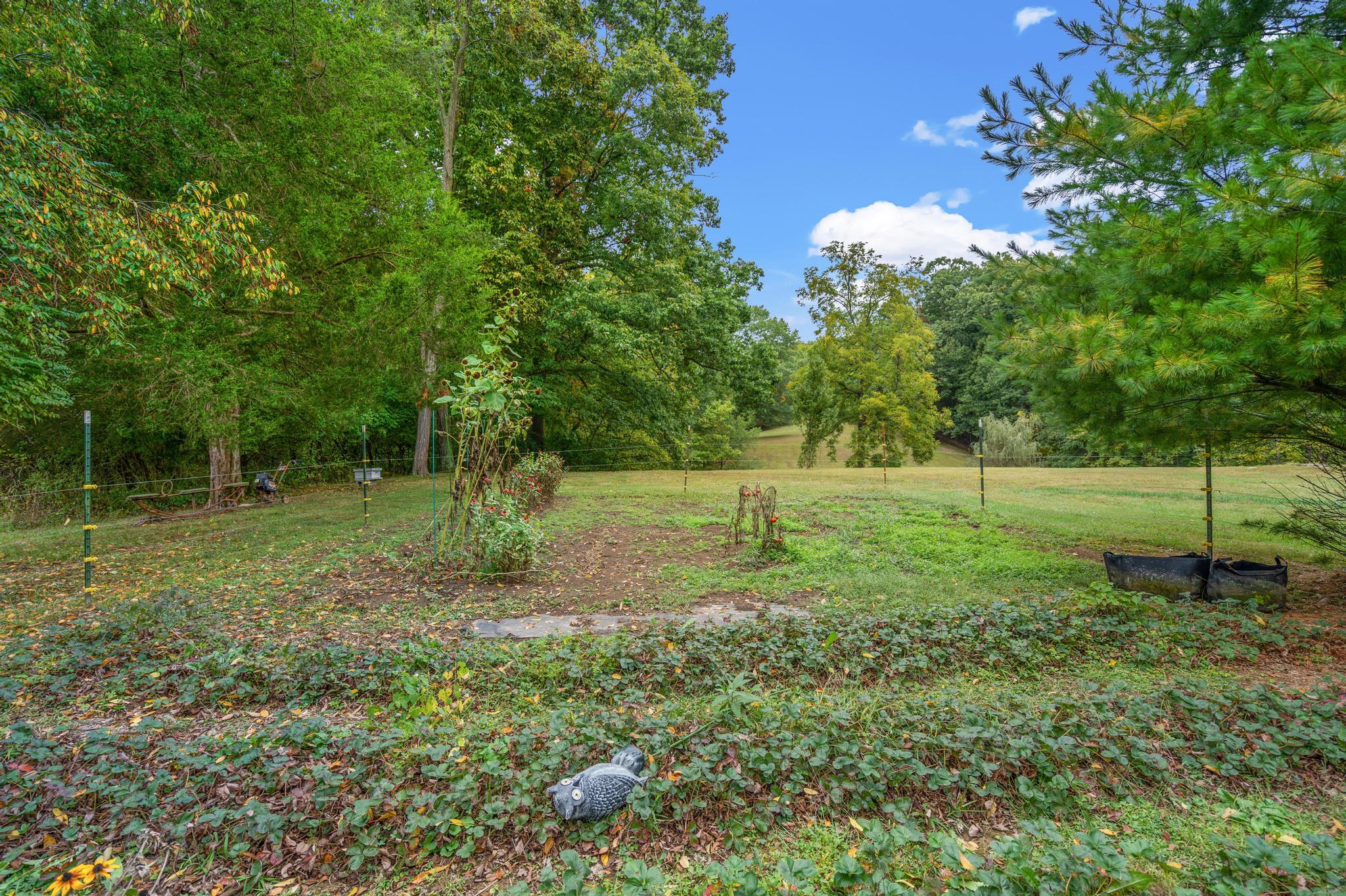 11916 Burns Road California, KY 41007 - Photo 9 of 49 Gallery Image 9