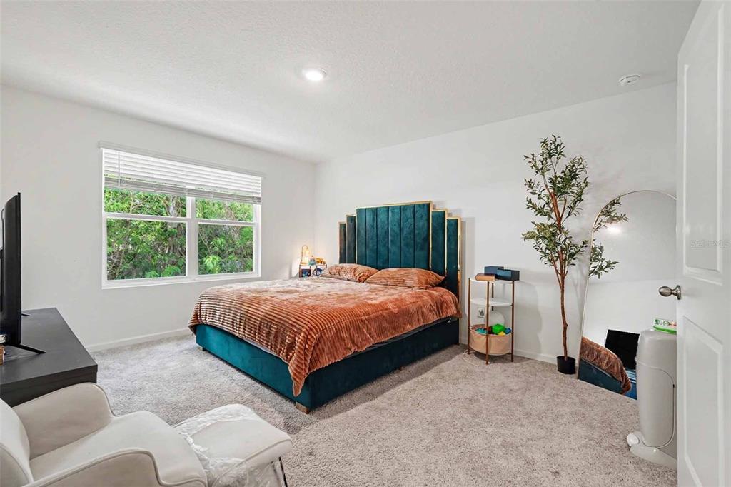 6203 Daerr Rdg Street Zephyrhills, FL 33542 - Photo 19 of 30