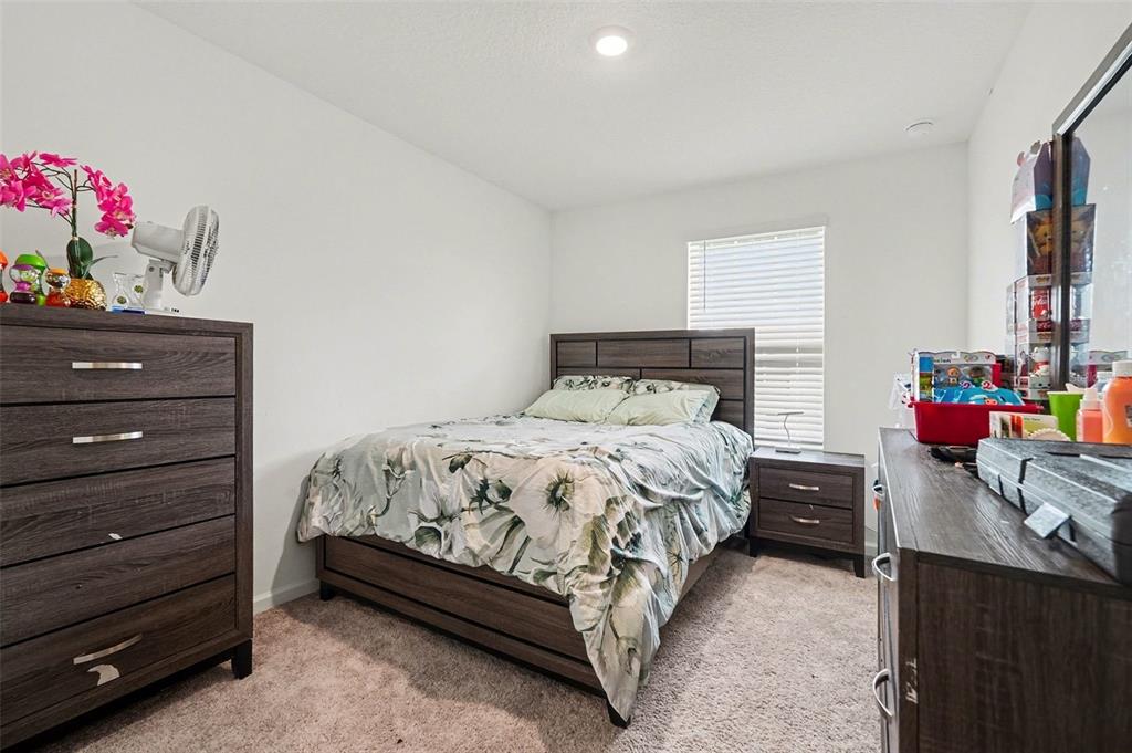 6203 Daerr Rdg Street Zephyrhills, FL 33542 - Photo 20 of 30