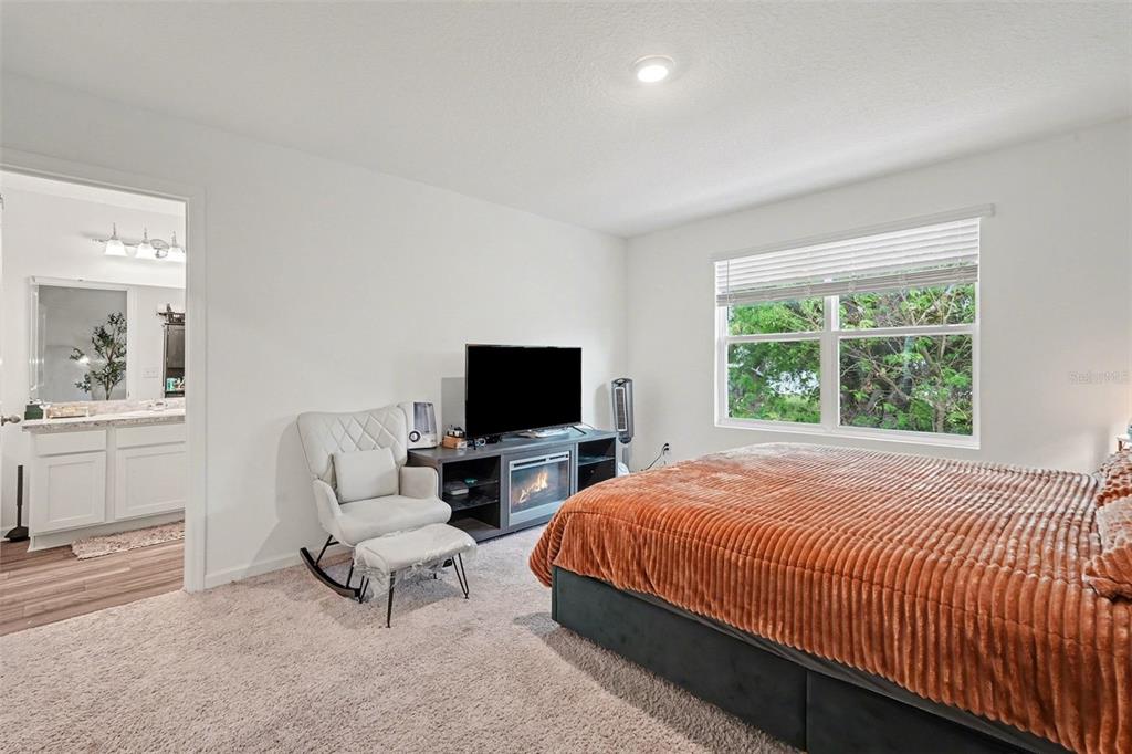 6203 Daerr Rdg Street Zephyrhills, FL 33542 - Photo 22 of 30