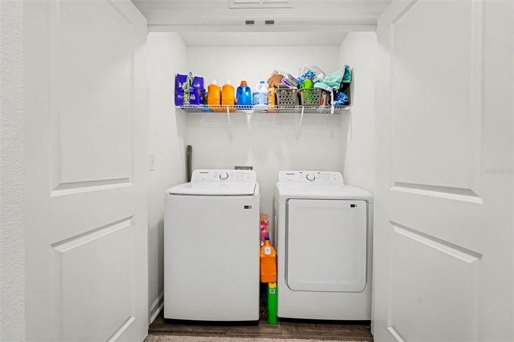 6203 Daerr Rdg Street Zephyrhills, FL 33542 - Photo 28 of 30