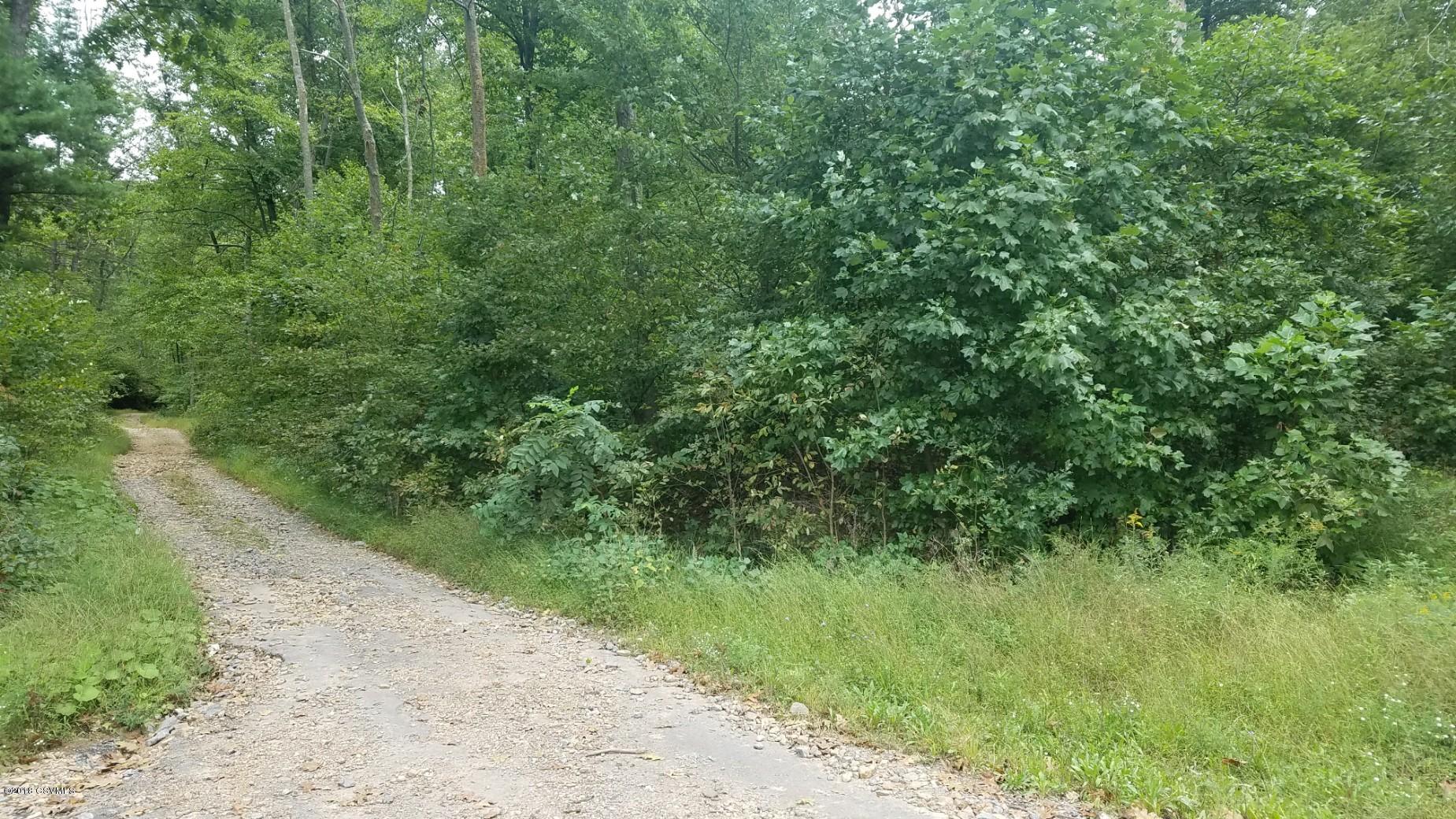 Rattlesnake Road Dornsife, PA 17823 - Photo 1 of 4 Gallery Image 1