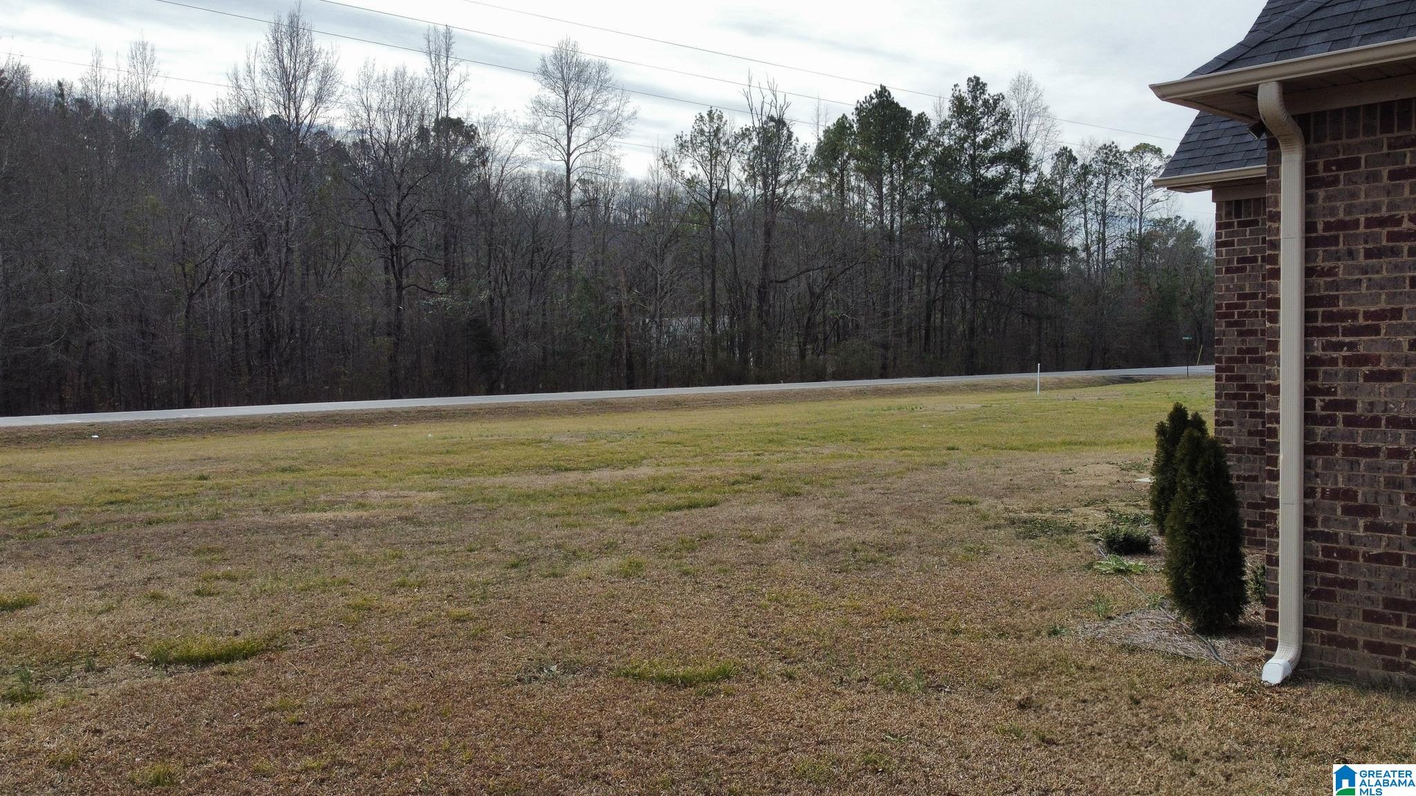 18 Hickory Road Ragland, AL 35131 - Photo 78 of 79