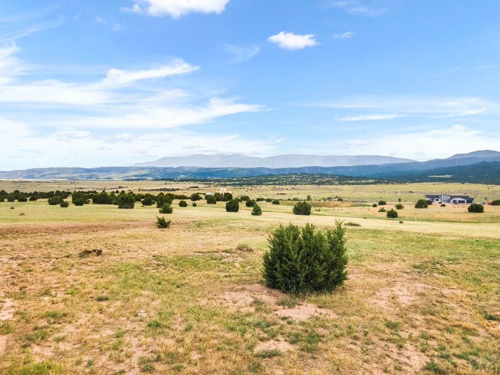 5849 Garrett Road Beulah, CO 81023 - Photo 42 of 53
