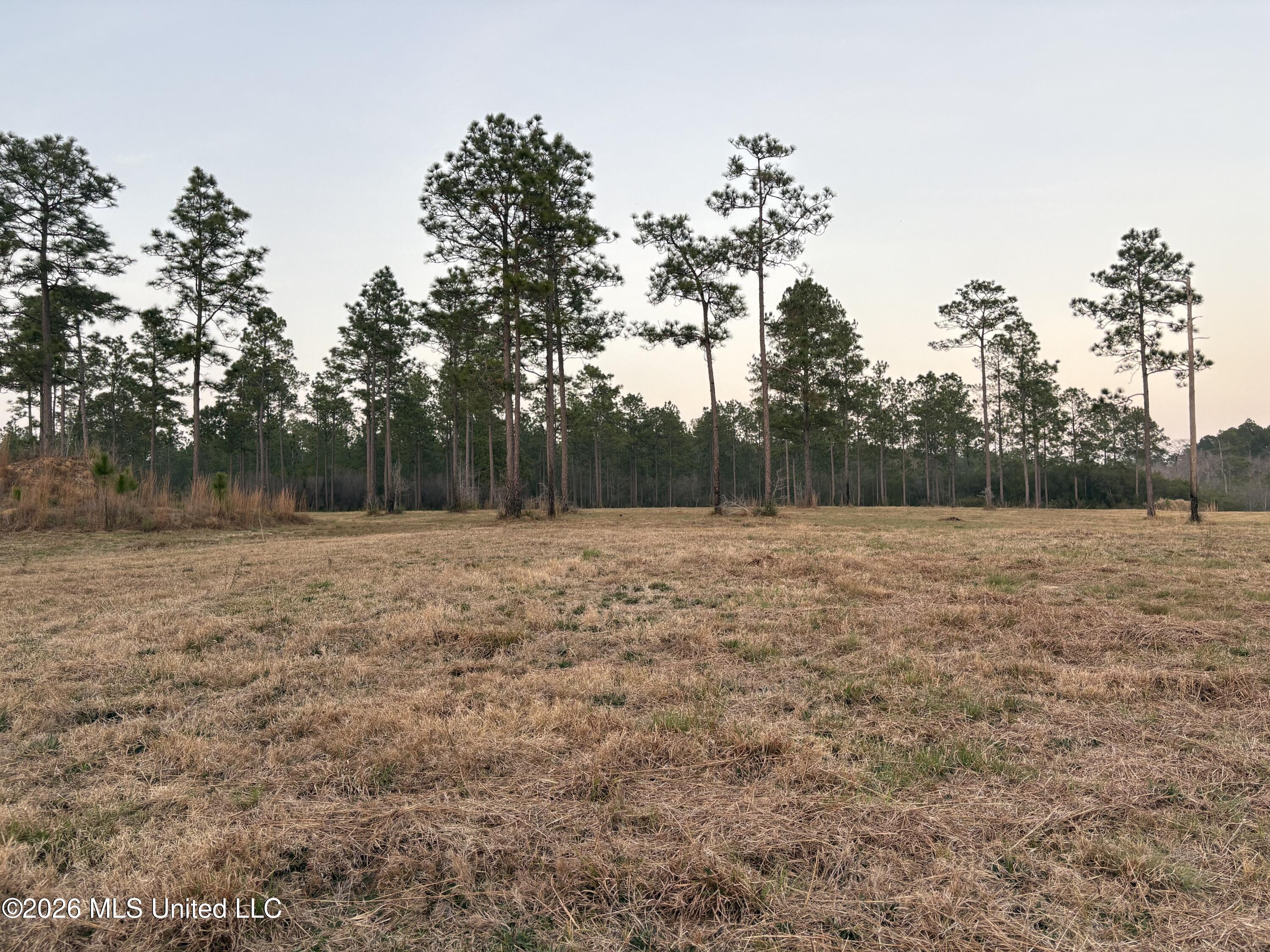 Greenfields Road Moss Point, MS 39562 - Photo 8 of 10 7