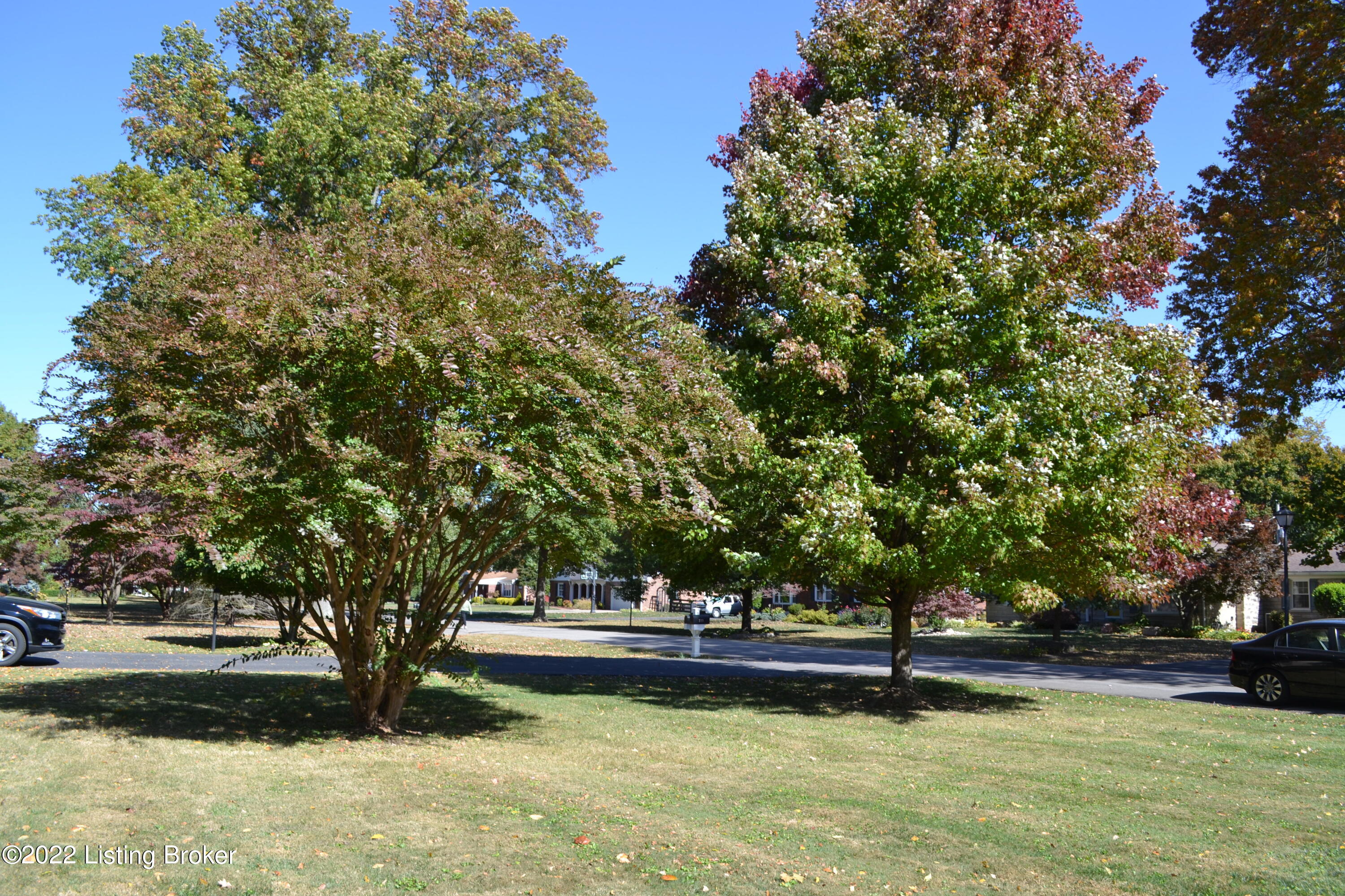 208 South Hampton Road Louisville, KY 40222 - Photo 8 of 59 DSC_0008