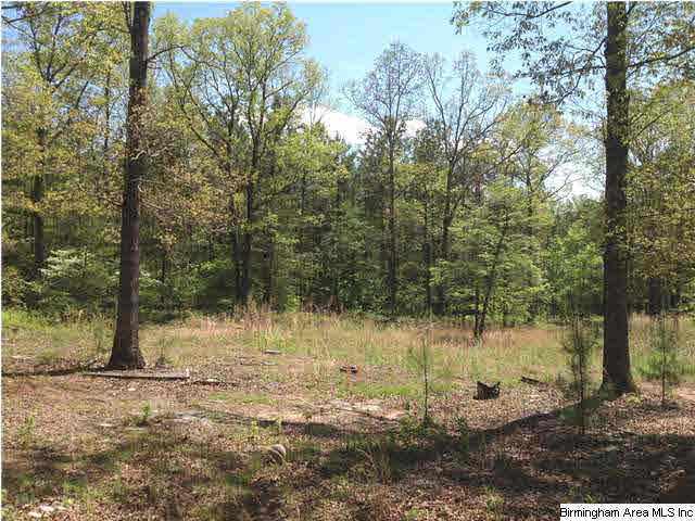 630 Wildcat Road, Unit 5 AC Buchanan, GA 30113 - Photo 16 of 17 Gallery Image 16