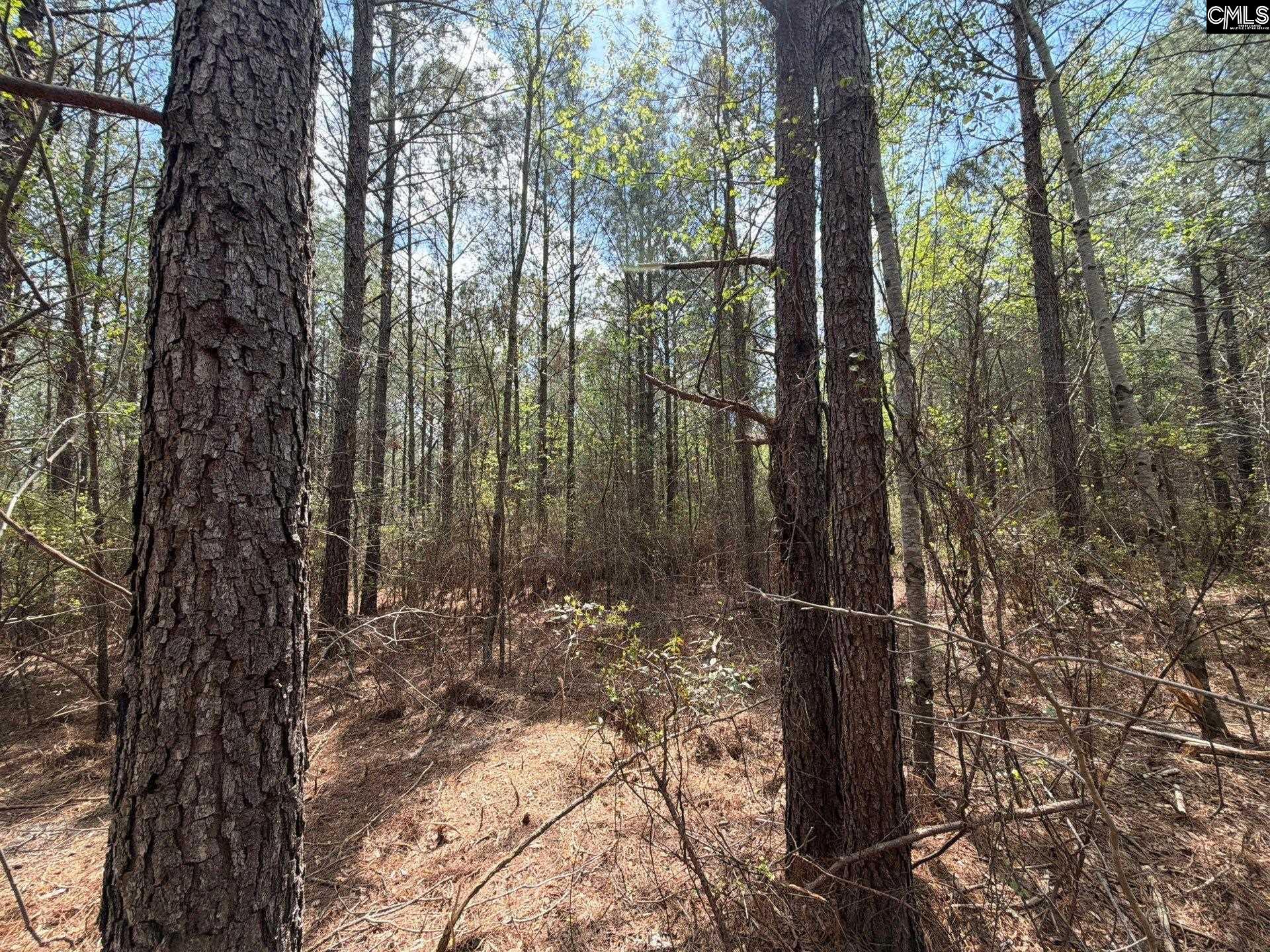 2 Mt Calvary Rd Ridge Spring, Unit CA 2 Ridge Spring, SC 29129 - Photo 16 of 29
