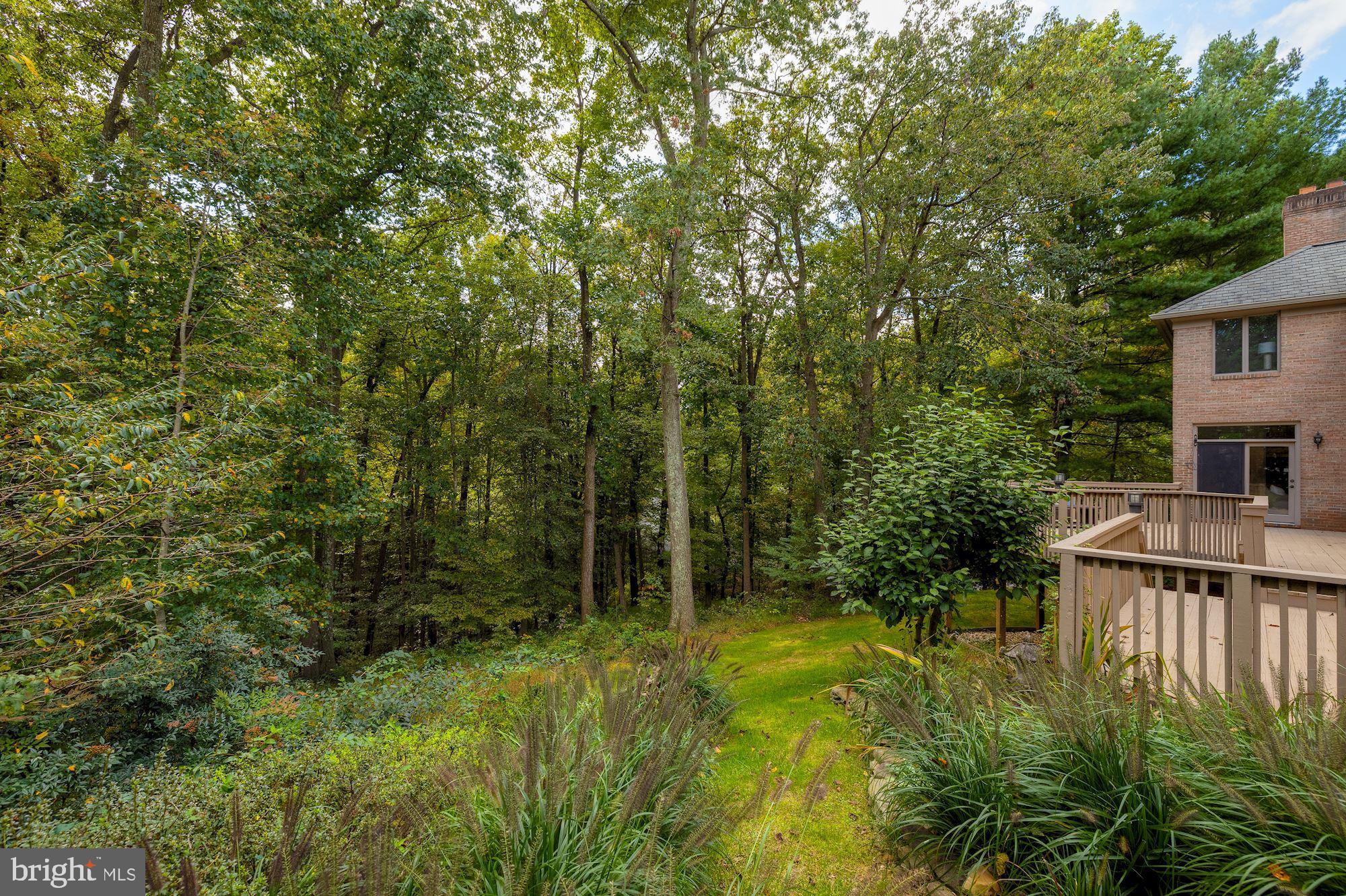685 Potomac River Road McLean, VA 22102 - Photo 56 of 60 Gorgeous & Lush Landscaping