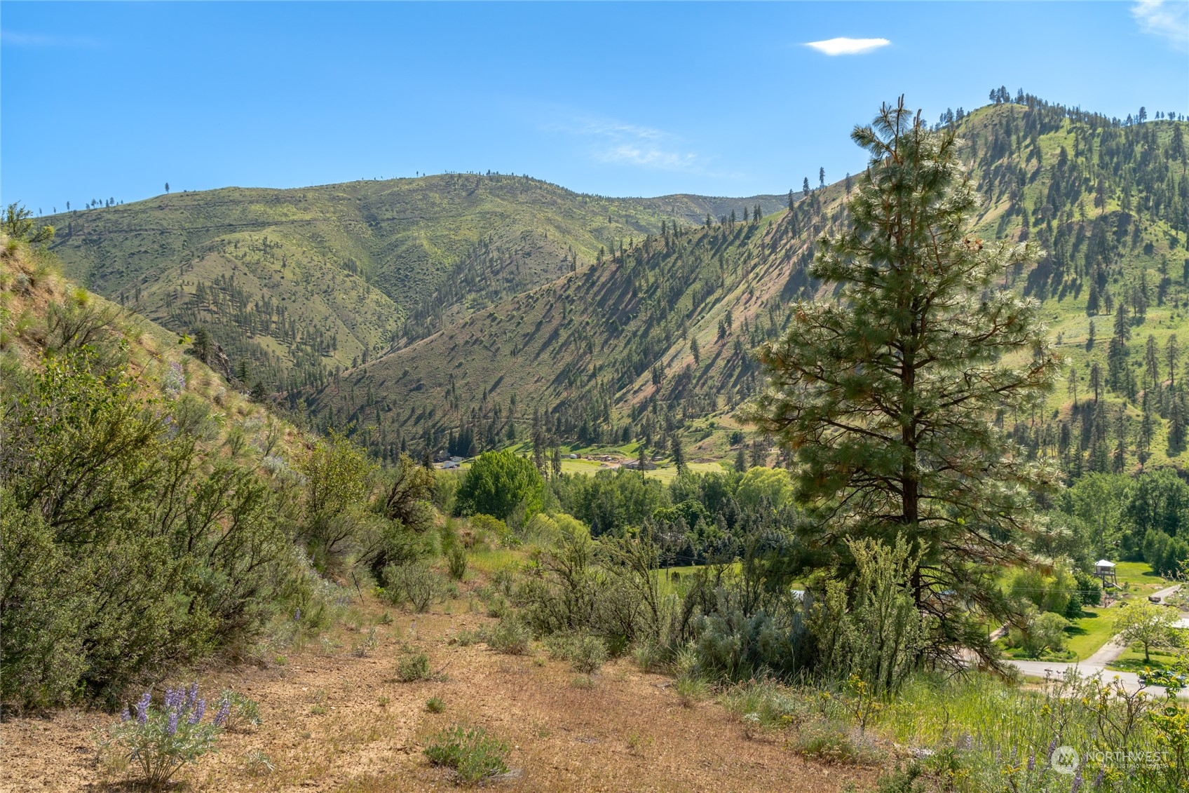 6104 Entiat River Road Entiat, WA 98822 - Photo 11 of 25 Gallery Image 11